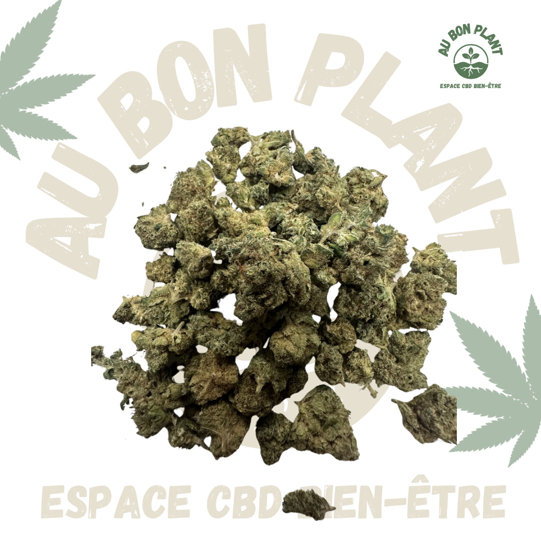 Cherry Lemon - Small Bud