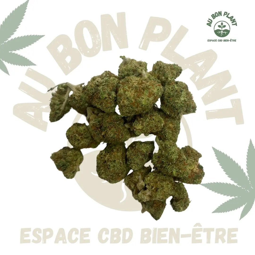 Cherry Pie - Small Bud